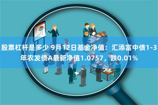 股票杠杆是多少 9月12日基金净值：汇添富中债1-3年农发债A最新净值1.0757，跌0.01%