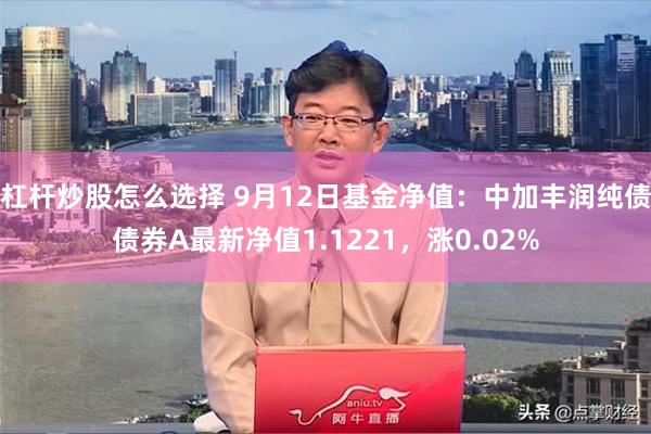 杠杆炒股怎么选择 9月12日基金净值：中加丰润纯债债券A最新净值1.1221，涨0.02%