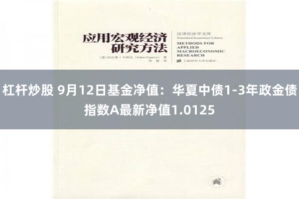 杠杆炒股 9月12日基金净值：华夏中债1-3年政金债指数A最新净值1.0125