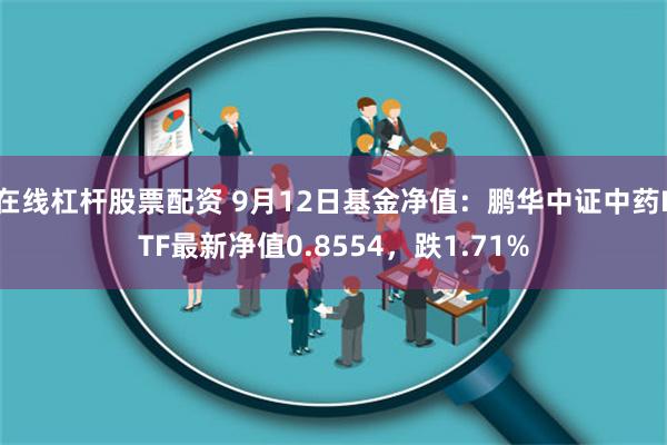 在线杠杆股票配资 9月12日基金净值：鹏华中证中药ETF最新净值0.8554，跌1.71%