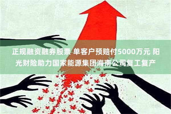 正规融资融券股票 单客户预赔付5000万元 阳光财险助力国家能源集团海南公司复工复产