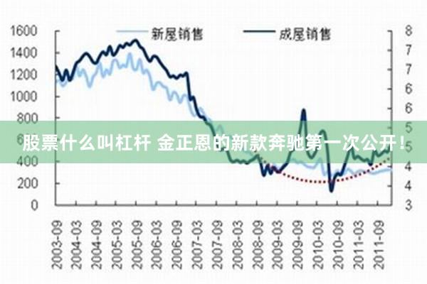 股票什么叫杠杆 金正恩的新款奔驰第一次公开！