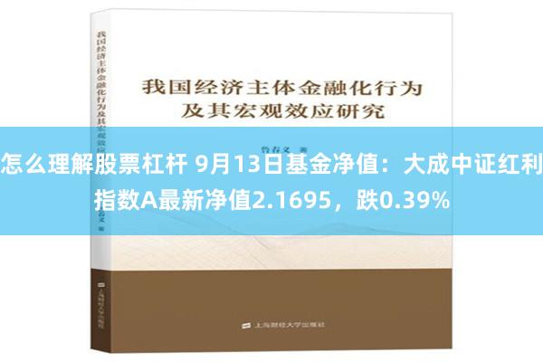 怎么理解股票杠杆 9月13日基金净值：大成中证红利指数A最新净值2.1695，跌0.39%