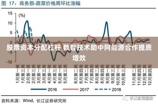 股票资本分配杠杆 数智技术助中阿能源合作提质增效