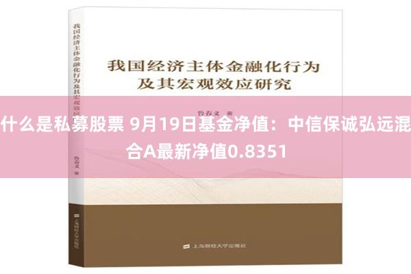 什么是私募股票 9月19日基金净值：中信保诚弘远混合A最新净值0.8351