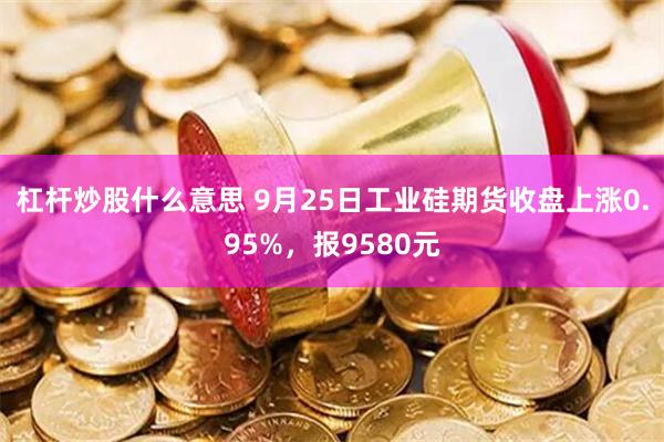 杠杆炒股什么意思 9月25日工业硅期货收盘上涨0.95%，报9580元