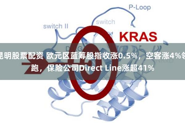 昆明股票配资 欧元区蓝筹股指收涨0.5%，空客涨4%领跑，保险公司Direct Line涨超41%