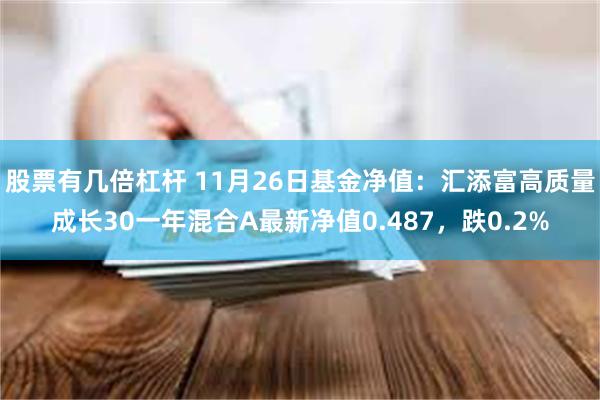 股票有几倍杠杆 11月26日基金净值：汇添富高质量成长30一年混合A最新净值0.487，跌0.2%