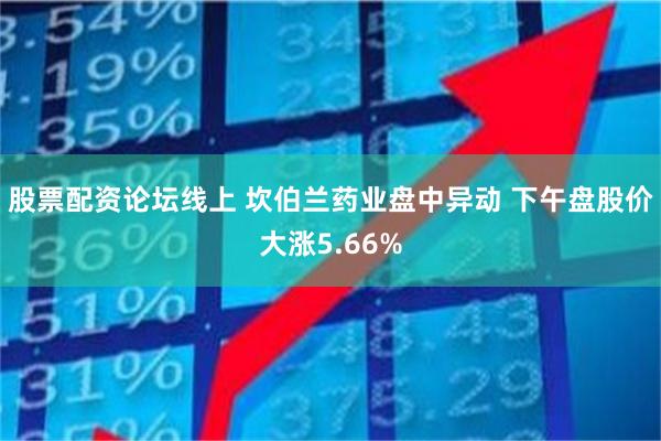 股票配资论坛线上 坎伯兰药业盘中异动 下午盘股价大涨5.66%