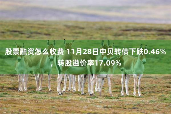 股票融资怎么收费 11月28日中贝转债下跌0.46%，转股溢价率17.09%