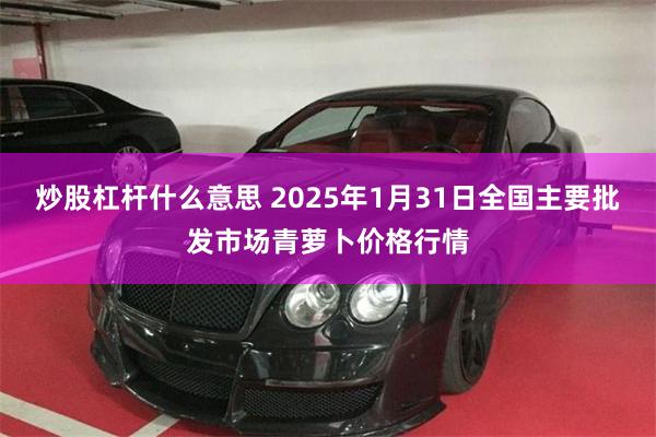 炒股杠杆什么意思 2025年1月31日全国主要批发市场青萝卜价格行情