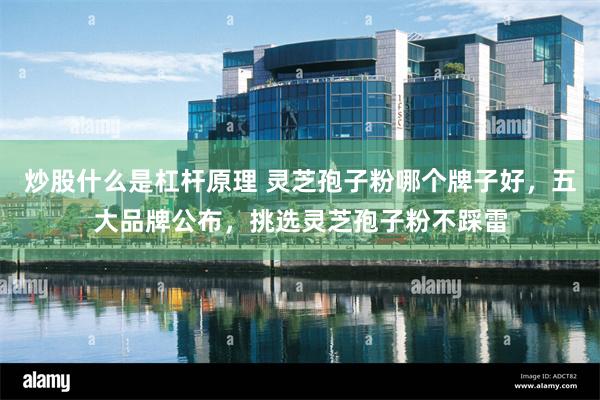 炒股什么是杠杆原理 灵芝孢子粉哪个牌子好，五大品牌公布，挑选灵芝孢子粉不踩雷