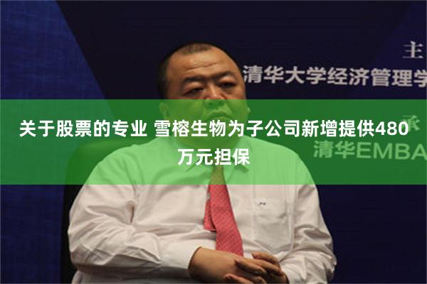 关于股票的专业 雪榕生物为子公司新增提供480万元担保